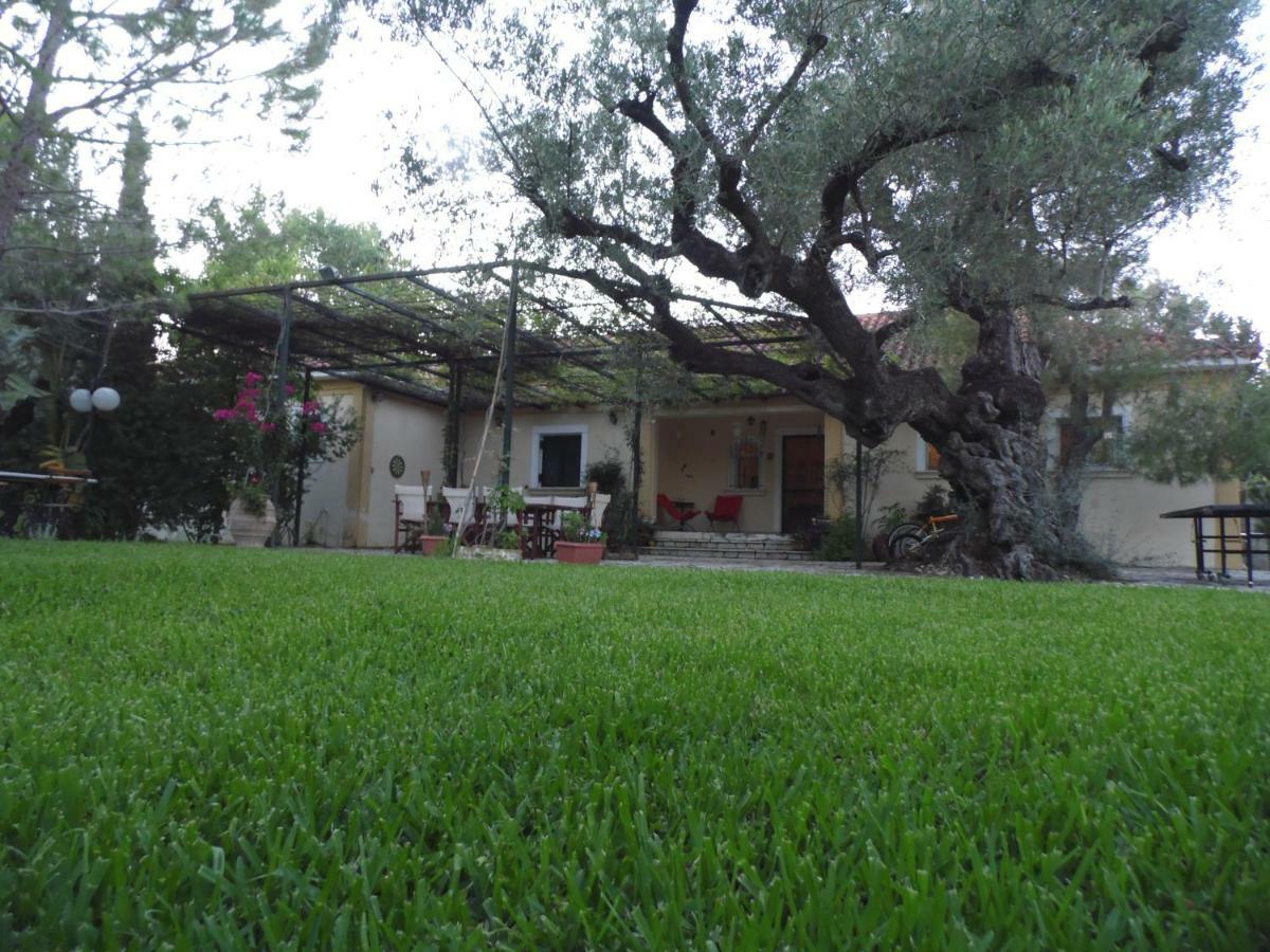 Theni Olive Grove Villa Kato Yerakarion Exterior foto